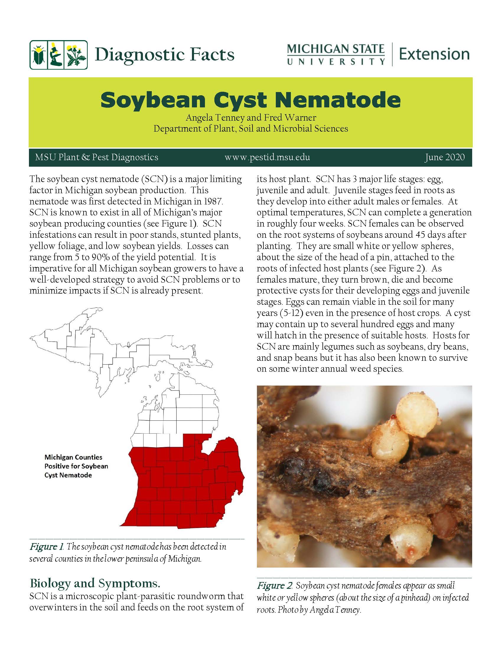 Diagnostic Facts Soybean Cyst Nematode from 2020.