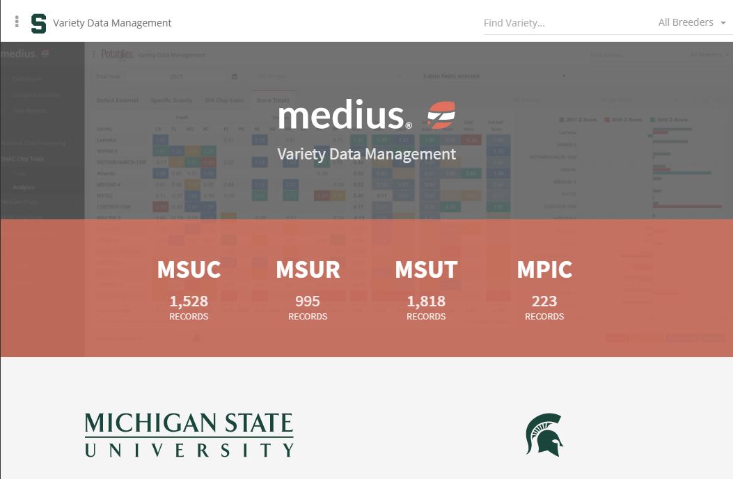 Picture of medius website homepage
