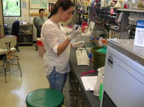 Graduate Student Extracting Pathogen DNA