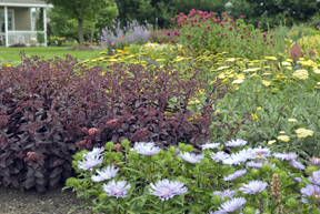 Display gardens Display gardens