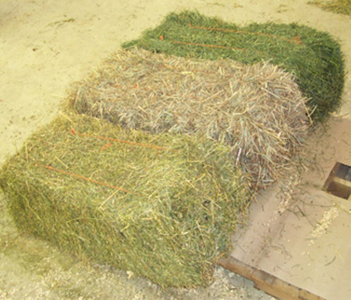 Hay bales Hay bales