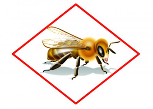 Bee box