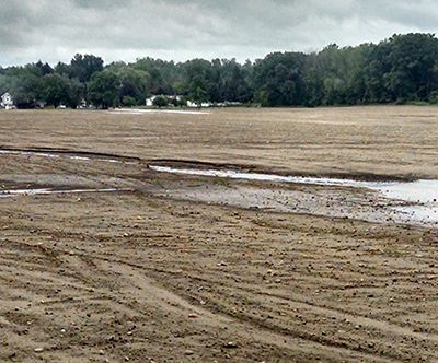 A flooded field.